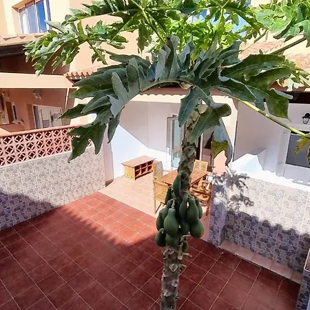 La Casa De La Papaya, By Comfortable Luxury