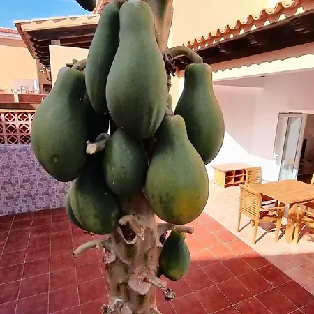 La Casa De La Papaya, By Comfortable Luxury Villa Corralejo